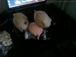 I come home to this. I&rsquo;m so sorry Noiz.