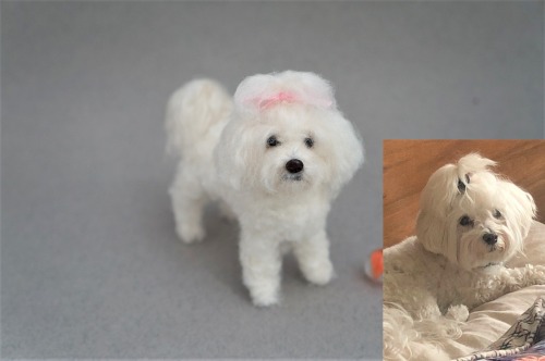 A senior Maltese, needle felted miniature version. Felted based on the pet image of the first photo 