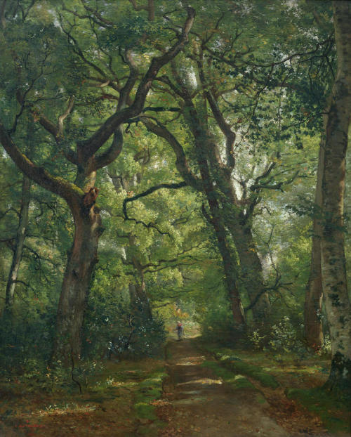 laclefdescoeurs: Path in the Forest, 1864, Henri Joseph Constant Dutilleux