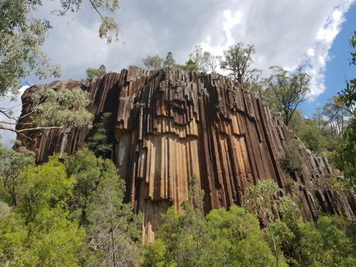 Sawn Rocks: Nature&rsquo;s Organ PipesSituated in the Mt Kaputar National Park, NSW, Australia i