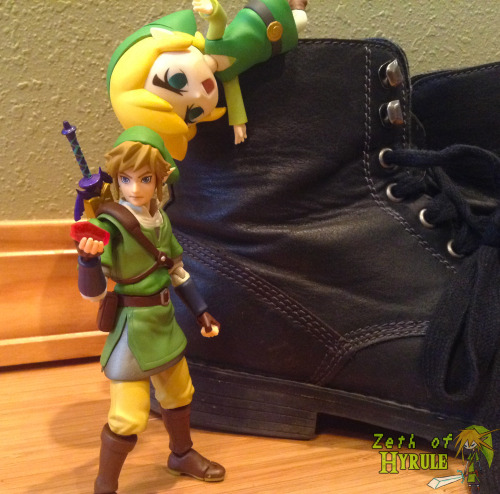 zethofhyrule:  I guess they can get along… 