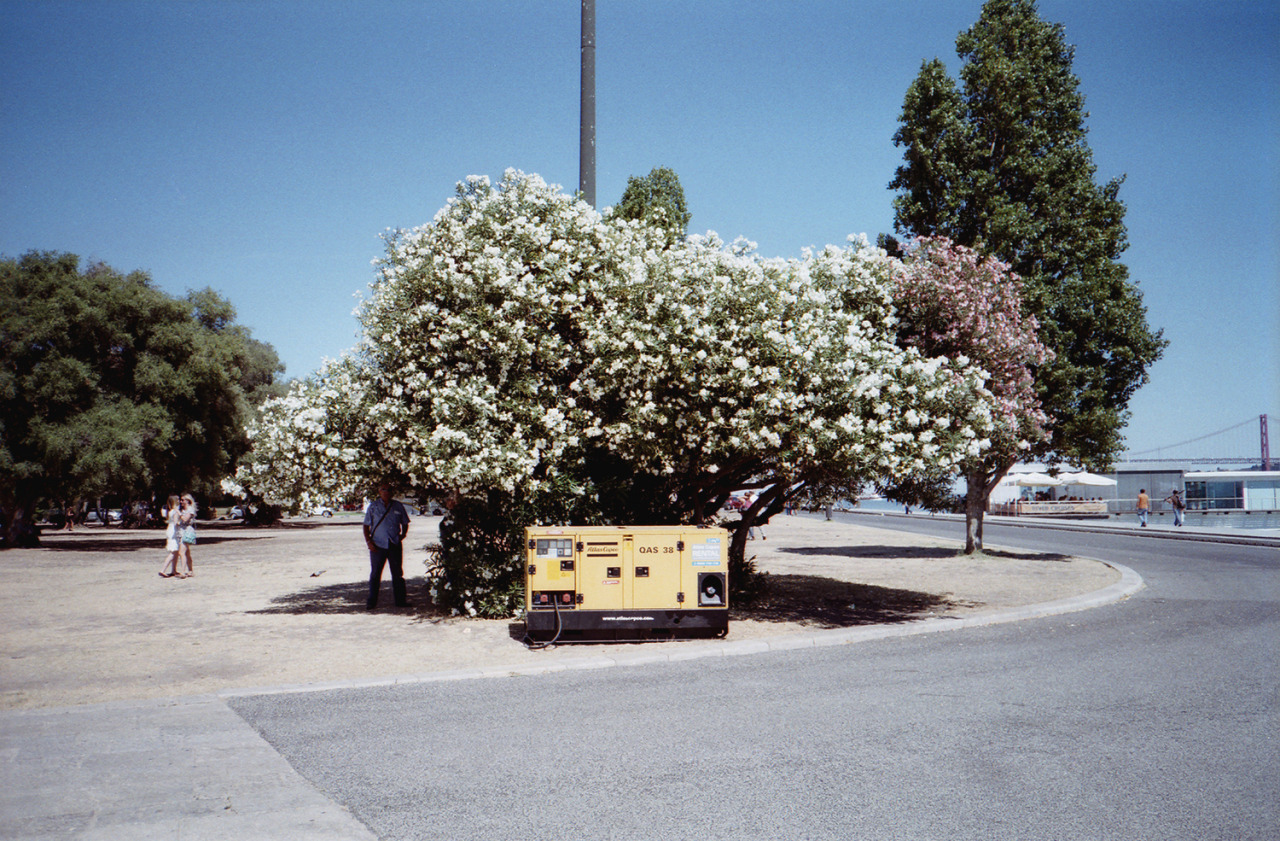 The flower machine - Lisbon - 2012