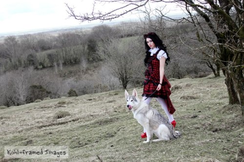 Red Riding Hood/Beast Of Bodmin Moor set of ImagesKohl-Framed ImagesModelling with Mishka the Wolf D