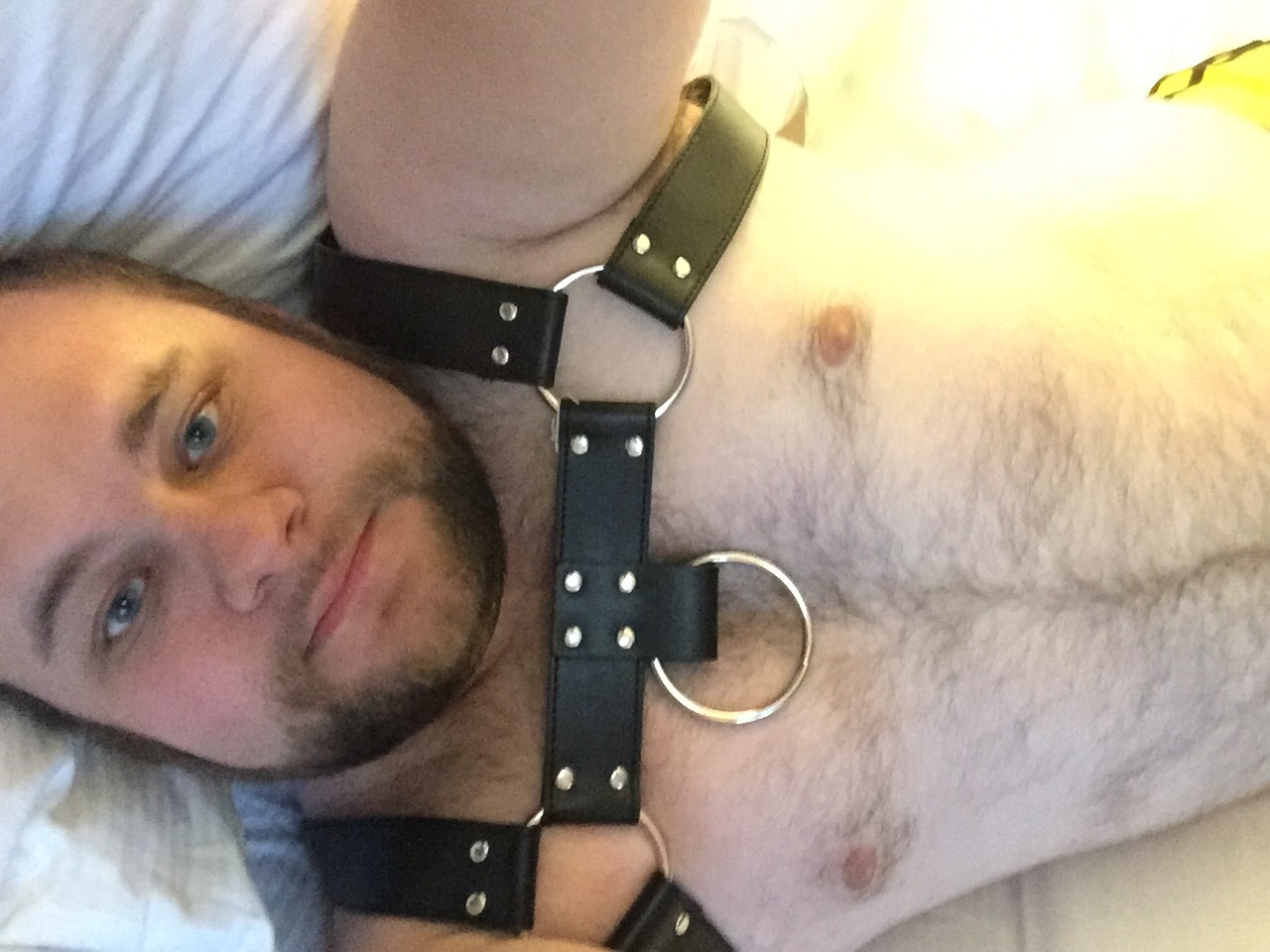 polytriadcigarcub:  Feeling fucking amazing in my new harness!!