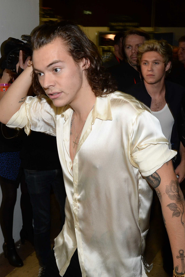 Hairy Male Celebrities