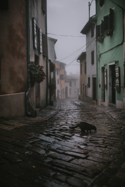 This quiet street on a rainy day