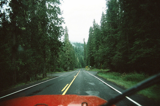  ❁ 