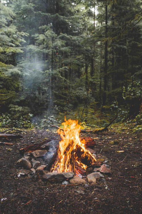 banshy:Mount Rainier National Park by Zackk Barazowski