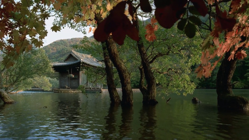 idleminds:Spring, Summer, Fall, Winter… and Spring (2003) ‘봄 여름 가을 겨울 그리고 봄’ dir.