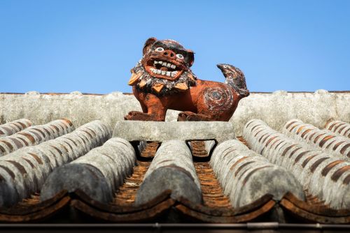 Okinawa’s iconic shīsā resemble exotic lions and have been part of the unique culture of the R