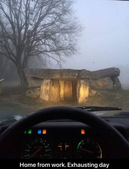 jesternoise:cryptid-sighting:ya ba do..