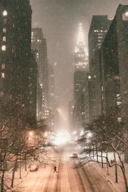 onceuponawildflower:  New York City - Snow