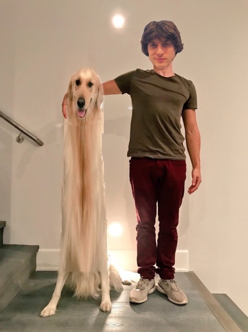 lizziebeth-hd:  Mark wanted us to photoshop Chica with him on Twitter  And now you brought it here…