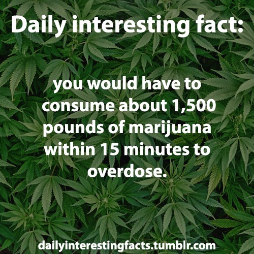 hrpuffnpuff:  put that in your pipe and smoke it.