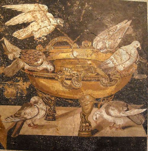 hellenismo:&ldquo;Doves watering&rdquo; - mosaic from the House of the Doves at Pompeii - Naples Arc