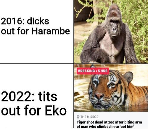 pixelmuppet:mist-the-wannabe-linguist:  forever-memes:  2022 intensifies   IT’S LITERALLY JANUARY 2ND IN THE YEAR OF THE TIGER WHAT THE FUCK    2016 was also the year of the Monkey 