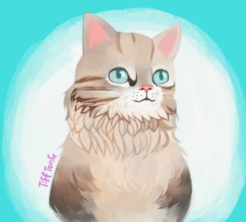 Decided to try something out of my comfort zone, so here’s a painting of a cat! I really need to pra