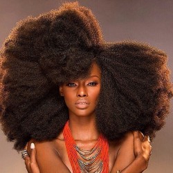 naturallyaprincess:  #HairPorn Big hair crush of the day!!! 😍😍😍🙌 (Photo Credit Unknown @ this lovely lady if you know her!) Follow us &amp; share the love! 💕💋#naturalhair #naturalista #naturalgirlsrock #afro #hairporn #naturalhairporn