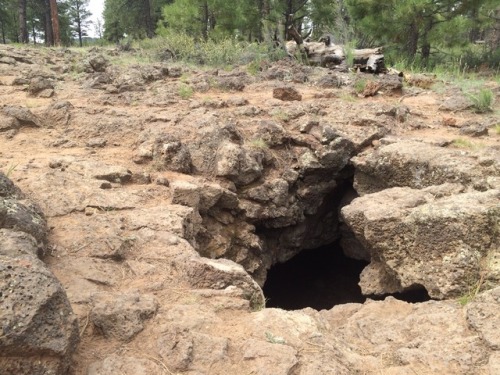 ilovenotmantheless:Saw a hole in the ground and decided to check it out. Lava tubes are neat. Unrela