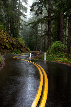 plasmatics:  The Road I’m On [via/more]