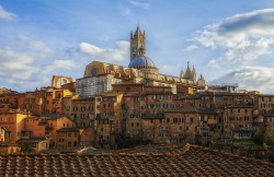 iltesorodisiena:  Vista DuomoFoto di Federico