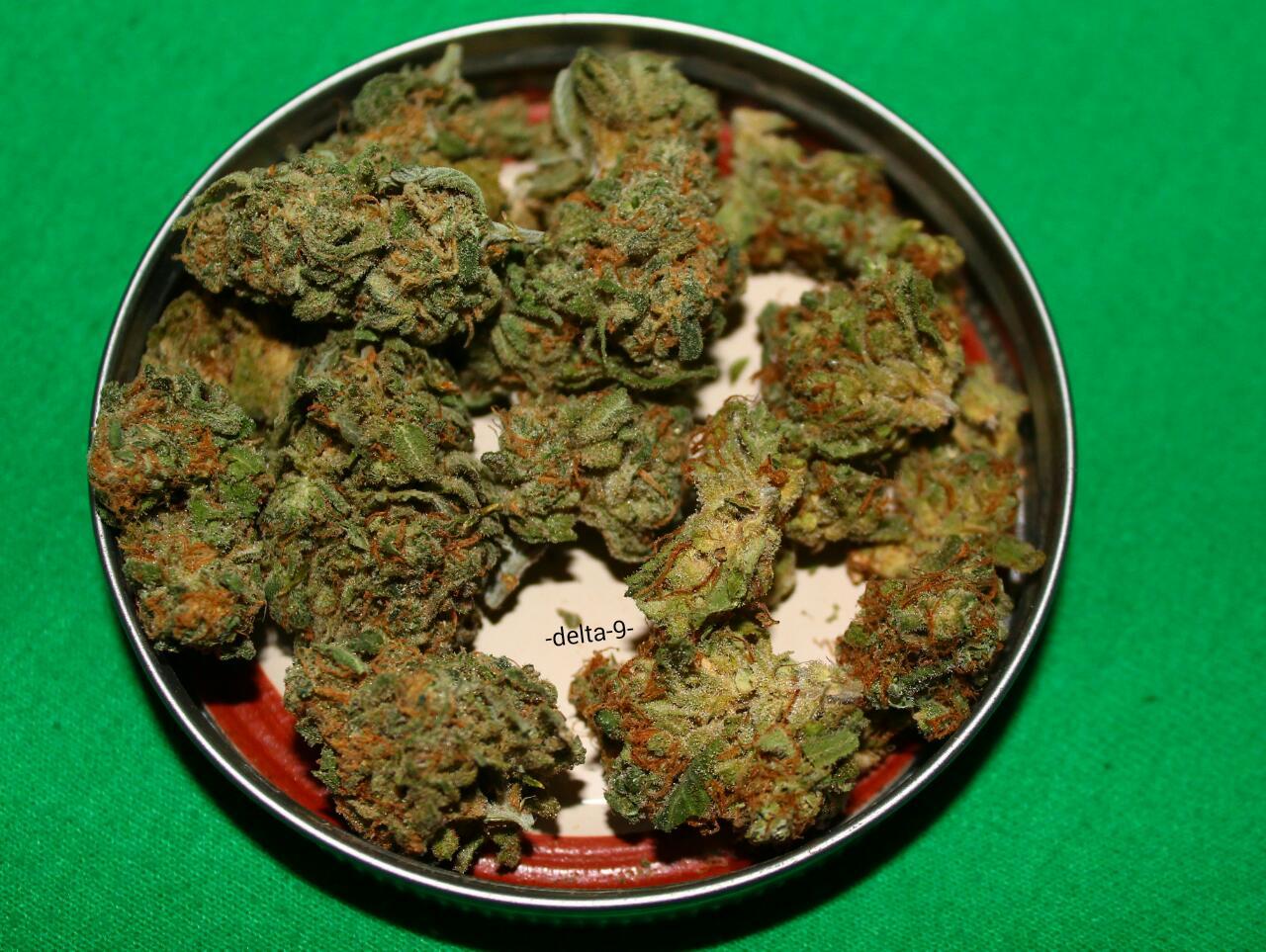 -delta-9-:  Unknown Strain Of Dank From, Portland Oregon🔥