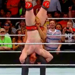 sheamus-sex-riot:  Cesaro really getting a good grip there… 