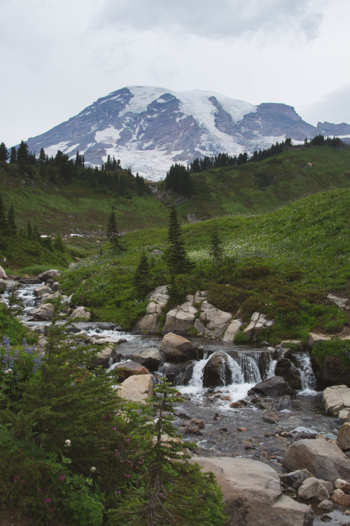 millivedder:Washington Mountains