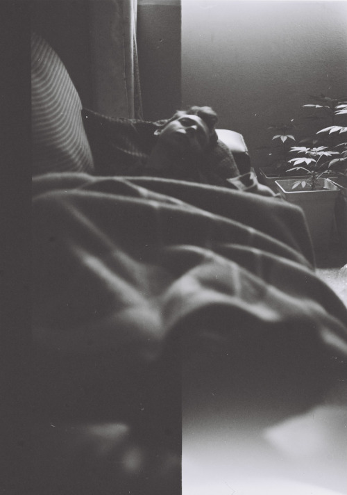 dimitrifraticelli:  Sleepover on Ilford XP2 6x4.5