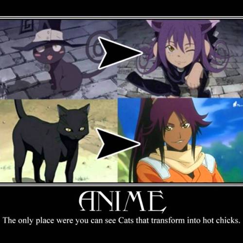 I wish I had a cat like this&hellip;  #Anime #quotes #daily #animequotes #dailyquotes #animefoll