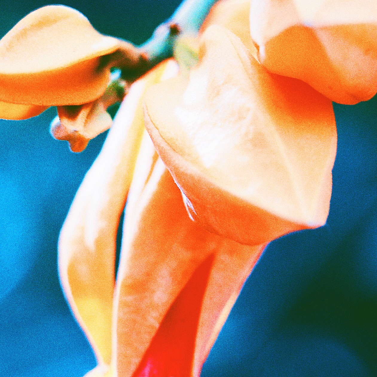 tarbor:  June 2014 