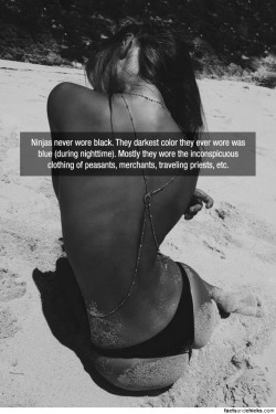 factsandchicks:  Ninjas never wore black. They darkest color they ever wore was blue (during nighttime). Mostly they wore the inconspicuous clothing of peasants, merchants, traveling priests, etc. source 