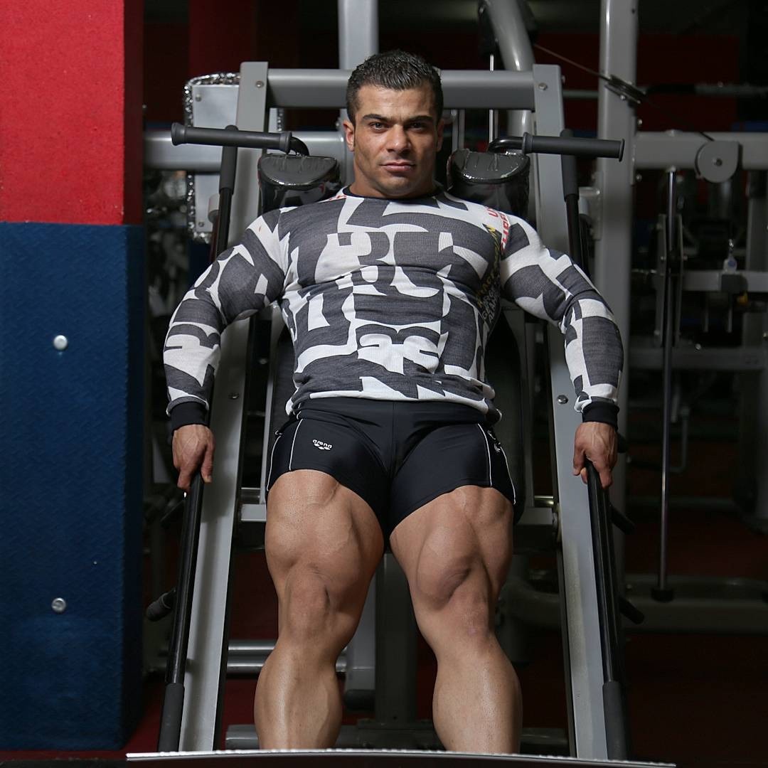 Majid Amani
