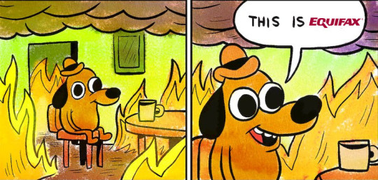 Equifax waited 5 weeks to admit it had doxed 44% of America, did nothing to help us while its execs sold stock