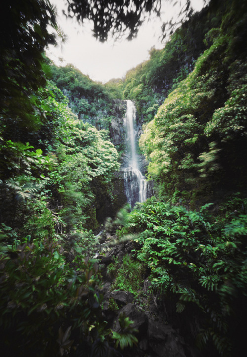 vacants:  return to maui, part eight (by manyfires)  ~