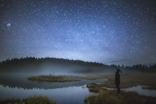 tiinatormanenphotography:  Stargazing.  Autumn 2015, Syöte, Finland.  by Tiina Törmänen | web | FB |