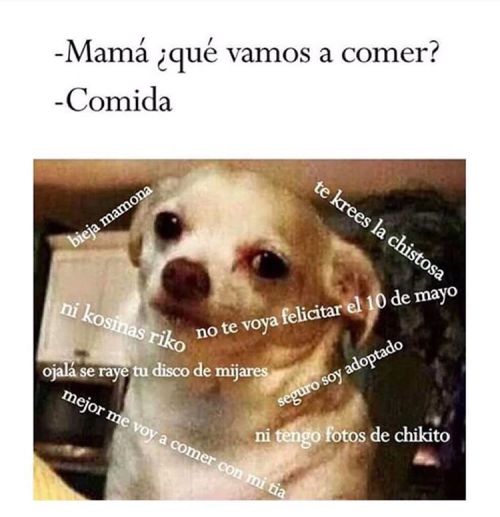 jalisciense-por-herencia:  😒🖕🏼