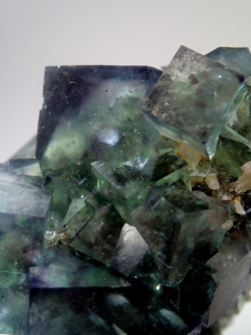 bijoux-et-mineraux:Phantom Fluorite - Okorusu mine, Namibia