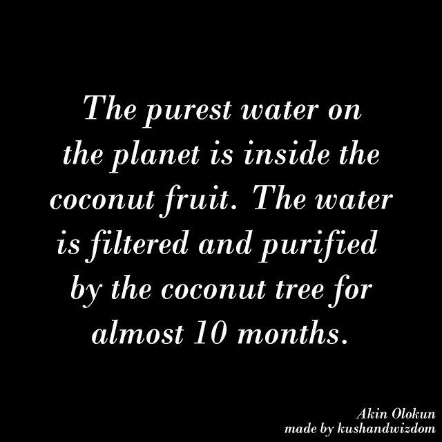 kushandwizdom:  - Akin Olokun