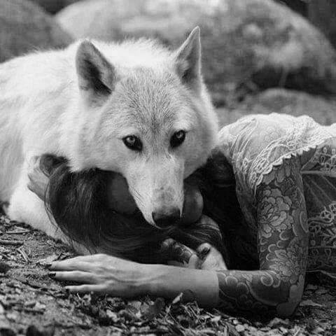 lupine-et-vulpine:Rest, little one. I will