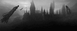 https://69.media.tumblr.com/603f7f0325df3079f8f43587b57437e6/tumblr_mqw9fdPp441s2pny7o1_500.gif