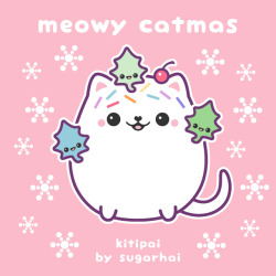 sugarhai:meowy catmas kittens