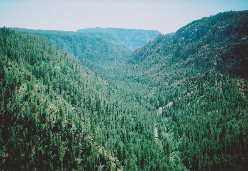 natureac:  This blog will make you feel at peace