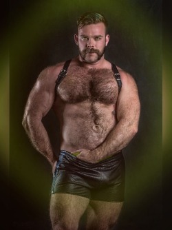 musclsvg:  Hairy muscle bear, Harden Hunter,