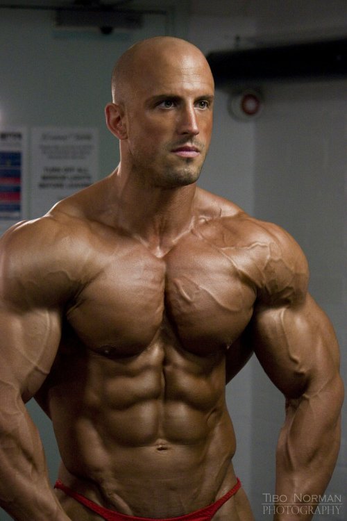 billyraysorensen:  The (almost) complete Benjamin Radic… 