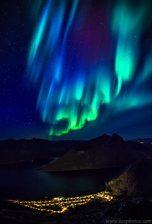 brutalgeneration:  Aurora Borealis above Village on Senja, Norway (by skulbruk) 