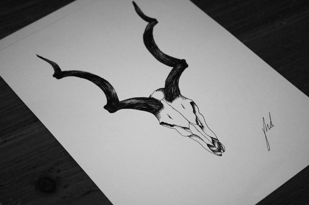 Kudu skull with cosmos for Maddie 🖤 #coloradotattooartist  #denvertattooartist #ladytattooers #skulltattoo #kuduskull  #kuduskulltattoo… | Instagram