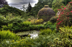 pagewoman:    Dovecote and Pond, Cotehele House, Saltash, Cornwall, England.   