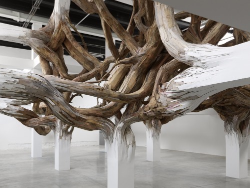 artchipel:  Henrique Oliveira (b.1973, Brazil)  Creating a spectacular and invasive Gordian Knot, Henrique Oliveira plays with Palais de Tokyo’s architecture, allowing a work that combines the vegetal and the organic to emerge. The building itself becomes