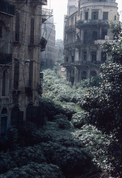historicaltimes:  The Green Line demarcation zone, Beirut, Lebanon 1982. via reddit 